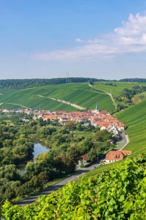 Escherndorf am Main near Volkach
