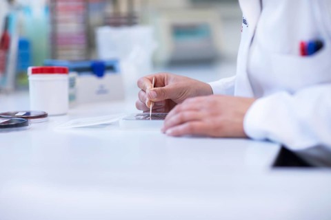 Hand of a lab technician with wooden stick and sample working in a laboratory with laboratory equipment