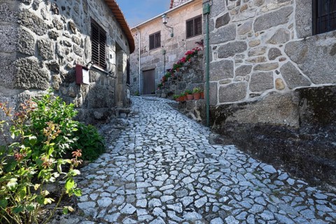 Narrow and shadowed street