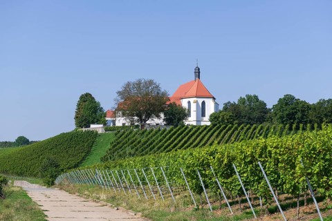 Vineyard with Vogelsburg with church Mariae Schutz