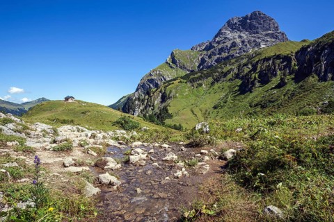 Mountain stream in the Baergunttal