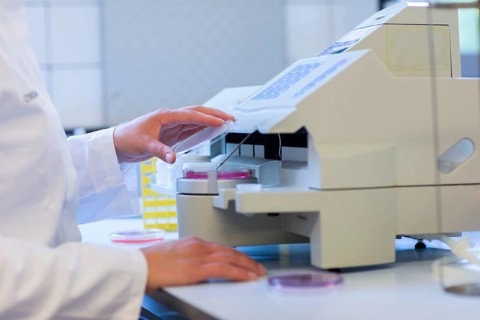 Laboratory examination with laboratory assistant in an examination laboratory for food control