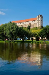 Wettin Castle on the Saale