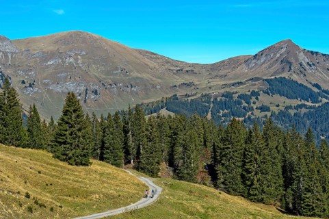In the hiking area of Les Diablerets near the village of Les Diablerets