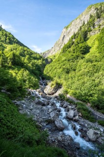 Mountain stream