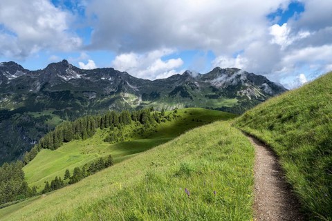 Lonely hiking trail