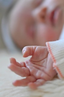 Infant