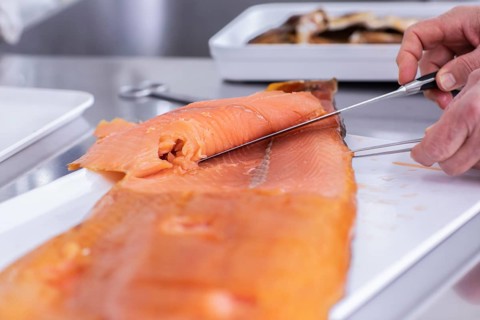 Fish preparation for laboratory evaluation