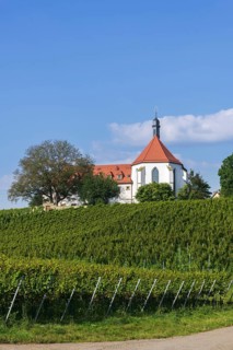 Vineyard with Vogelsburg with church Mariae Schutz