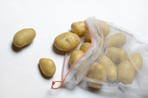 Potato
