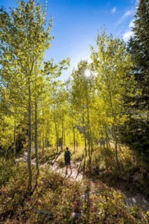 Young man on hiking trail