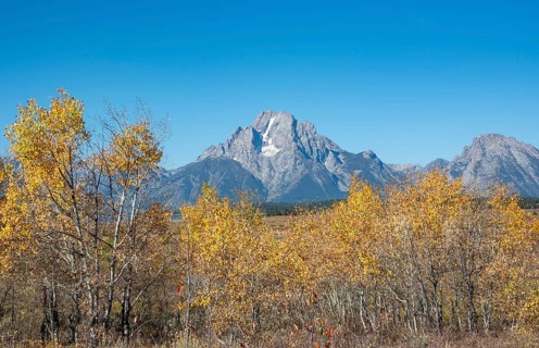 Mount Moran