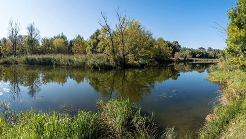 Alluvial landscape