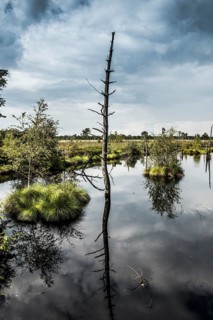 Pietzmmoor