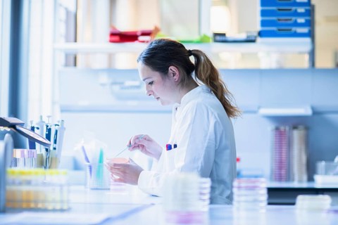 Lab technician with sample in petri dish working in a lab with lab equipment