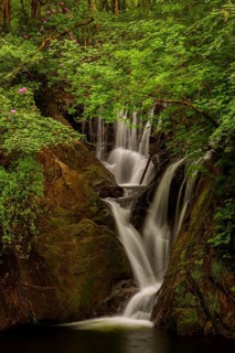 Dyfi Furnace
