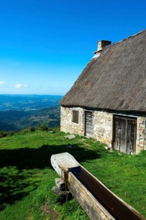 Farm