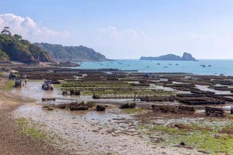 Oyster Farm in Cancale