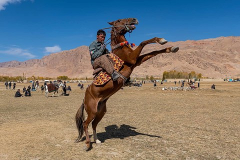 Horse rider at a Buzkashi game