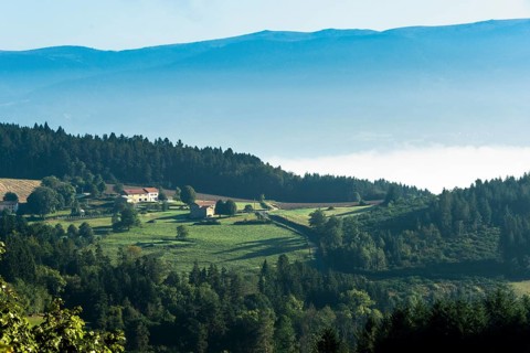 Haut Forez landscape in the Livradois-Forez Regional Nature Park