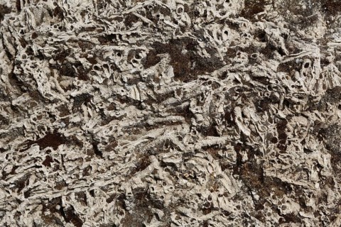 Macro shot detail of stone in Laodikya Ancient Town