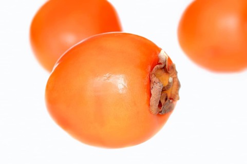 Japanese persimmon