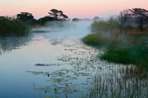 Kwando River