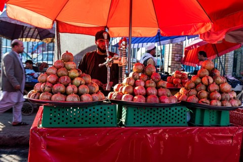 Local shop vendors