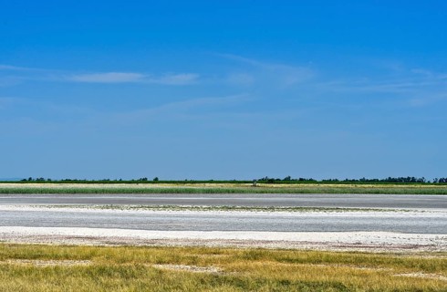 Hut pastures with salt efflorescence in the preservation zone of the Lange Lacke