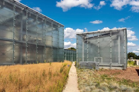 Glass boxes of New Silesian Museum