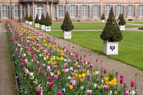 Court Garden