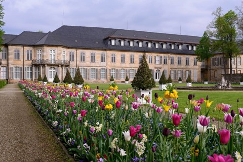 Court Garden