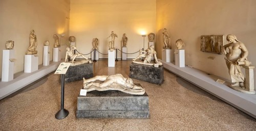 Marble statues in the Museo Correr