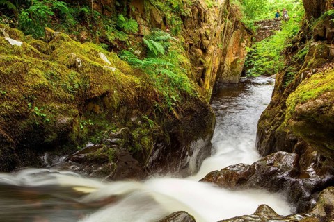 Waterfall