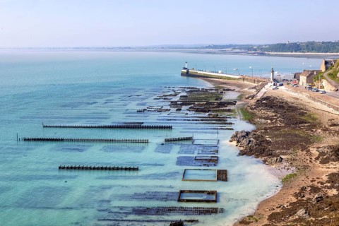 Oyster Farm in Cancale