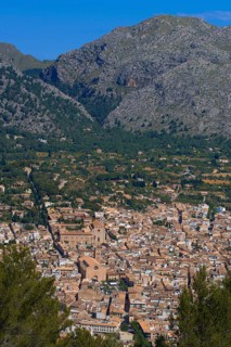 Pollenca
