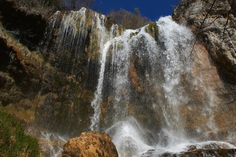 Tragacete