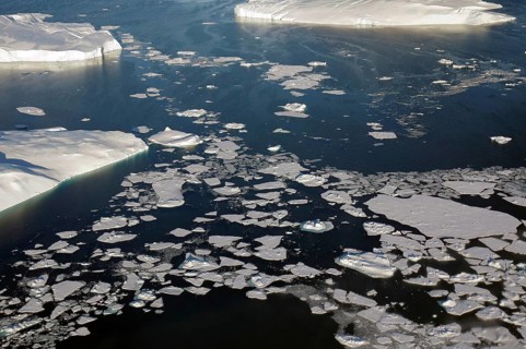 Icebergs from above