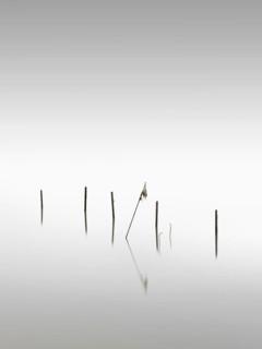 A fishing net at the dam of the Rantum basin on the island of Sylt