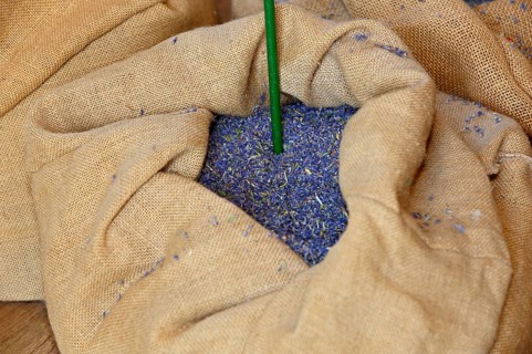 Dried lavender