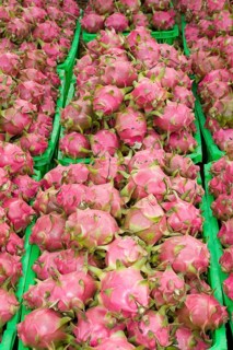 Dragon fruit