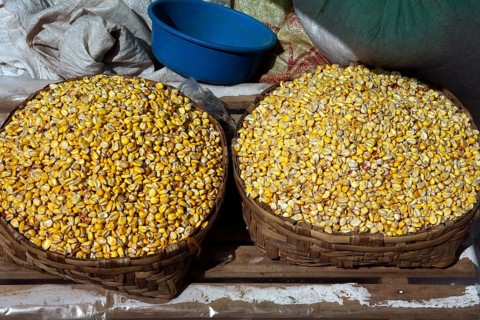 Corn