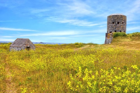 La Rousse Tower