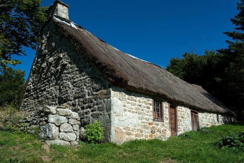 Farm