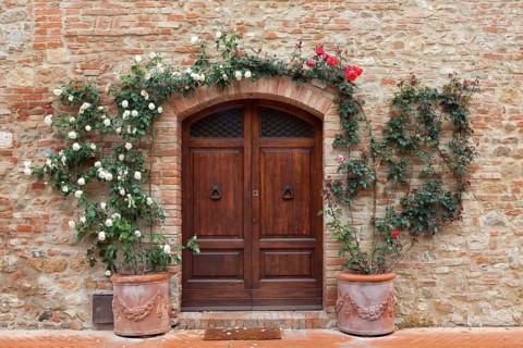 Old wooden door with roses