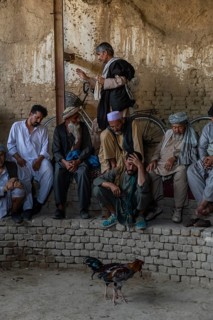 Traditional cockfight in Mazar-E-Sharif