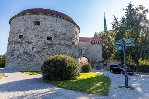 City wall and Dicke Margarethe