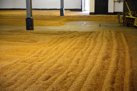 Malting Floors
