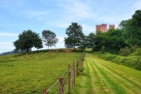 Powderham Castle