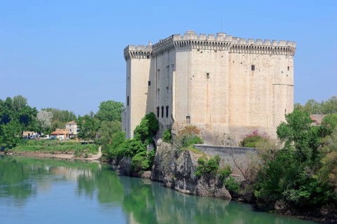 Castle Tarascon at the Rhone